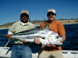 roosterfish#3