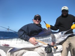 CABO STRIPED MARLIN ON FLY