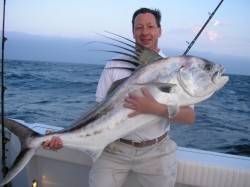 Big roosterfish on light tackle