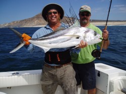 roosterfish