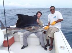 antons sailfish