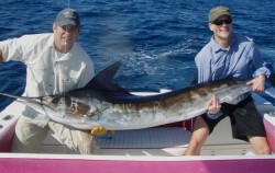 Chris striped marlin on fly