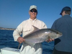 John Wauterkek Amberjack