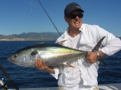 nice yellowfin