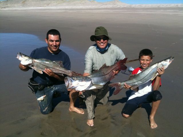 Snook and inshore species