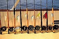 Fishing rods and tackle