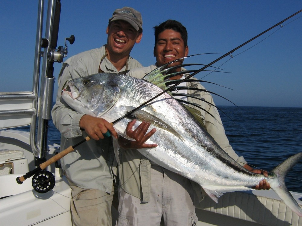 Roosterfish gallery photo 32