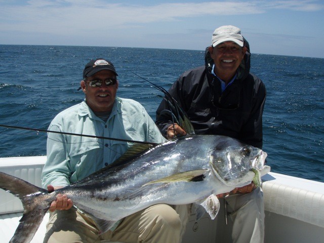 Roosterfish gallery photo 7
