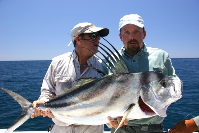 Roosterfish gallery photo 9